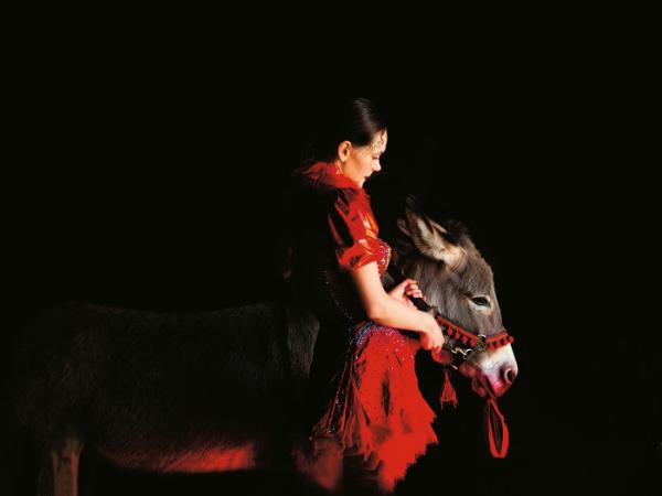 „Nakręciliśmy film, w którym świadomie unikamy protekcjonalnego traktowania zwierząt.”