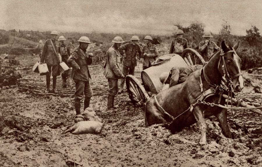 Koń brytyjskiej armii zapadający się w błocie w czasie bitwy pod Ypres – I wojna światowa.