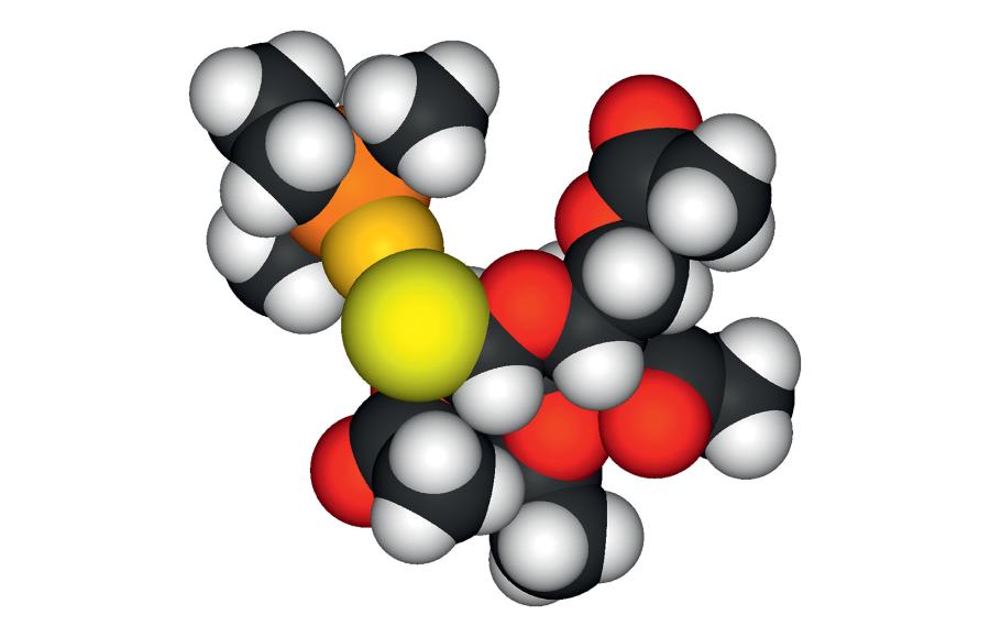 Auranofin jest związkiem chemicznym, w którym atom złota połączony jest wiązaniem chemicznym z atomami siarki oraz fosforu.