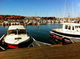 W Szwecji jest ponad 100 tys. jezior większych od jednego hektara i prawie 10 proc. powierzchni kraju pokryte jest wodą. Jest więc po czym pływać.