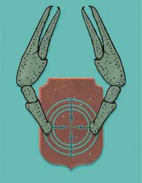 W Szwajcarii zrezygnowano z finansowania badań przesiewowych. Wcześniej wykonano jednak mnóstwo pracy, edukując społeczeństwo, na jakie symptomy nowotworów zwracać uwagę.
