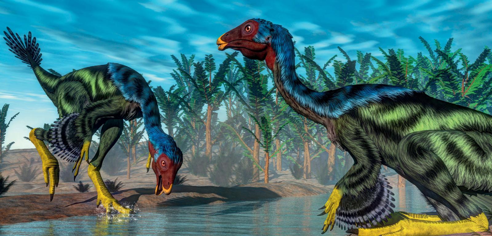 Rekonstrukcja wyglądu dinozaurów z rodzaju Caudipteryx. Długość ich ciała sięgała 90 cm, a masa 2–5 kg.