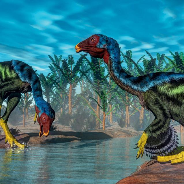 Rekonstrukcja wyglądu dinozaurów z rodzaju Caudipteryx. Długość ich ciała sięgała 90 cm, a masa 2–5 kg.