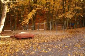 Dla aktywnych powstały również przyrządy do trenowania i zabawy dla najmłodszych odwiedzających Podleśną Polanę.