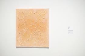 Sok 0.5, Marcin Janusz