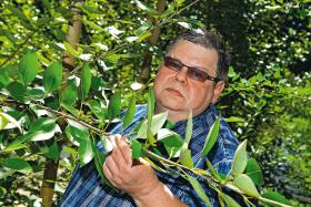 Prof. Stanisław Karpiński - szef Laboratorium Fizjomiki i Modelowania Biotechnologicznego Roślin w SGGW w Warszawie.