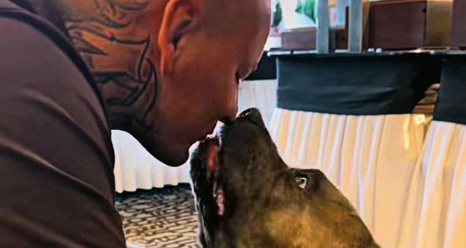 Bokser Artur Szpilka całujący się ze swoim psem.