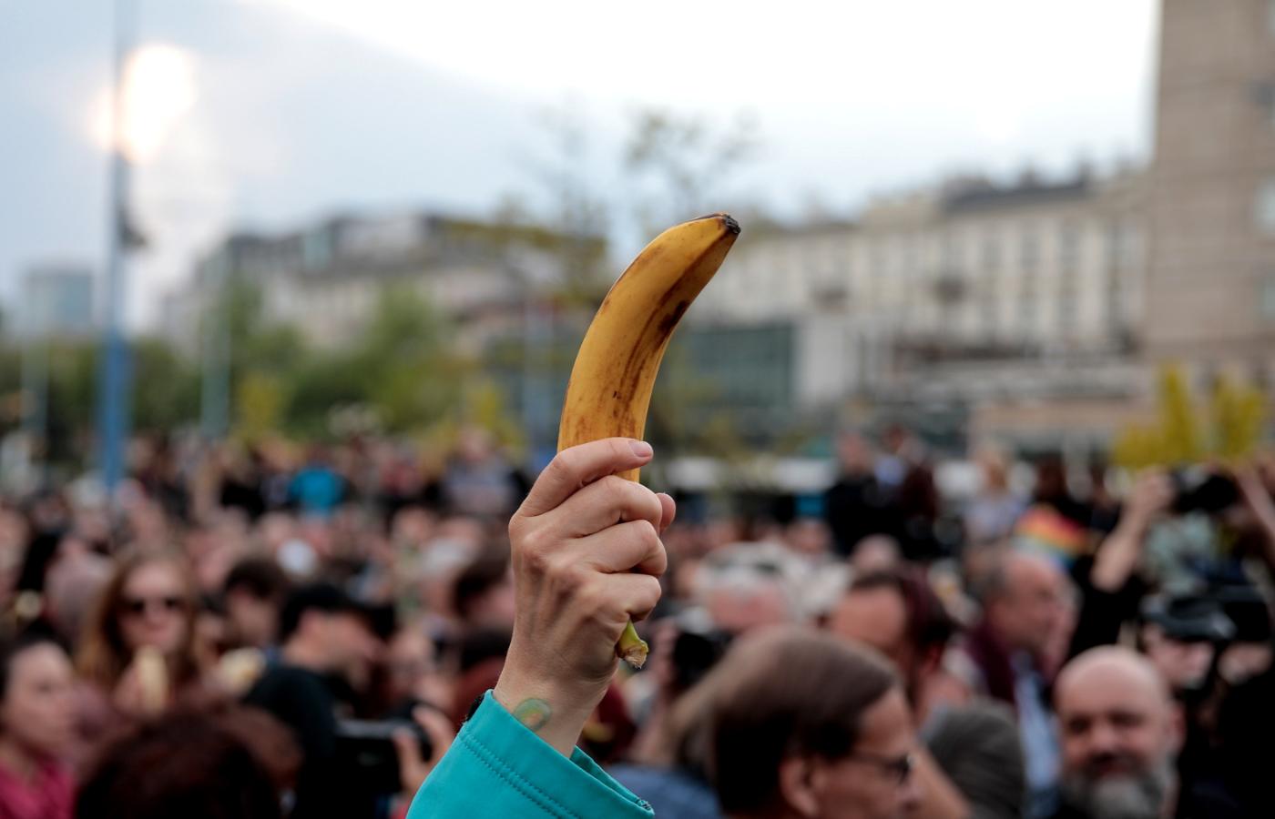 Bananowy protest przed Muzeum Narodowym w Warszawie.