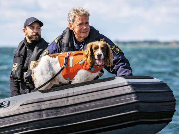 Kadr z serialu „Dochodzenie”.