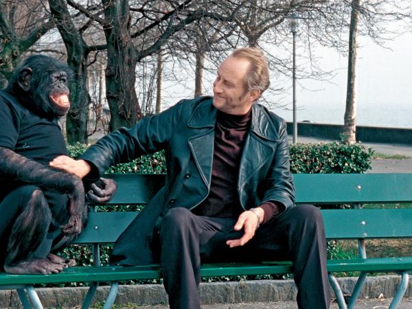 Benoit Poelvoorde jako desperat kradnący trumnę gwiazdora