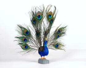 Wystarczy klasnąć, a rozłoży ogon i efektownie zapiszczy. Idzie jak woda.