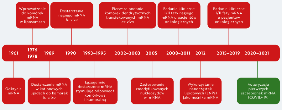 Historia rozwoju technologii mRNA.