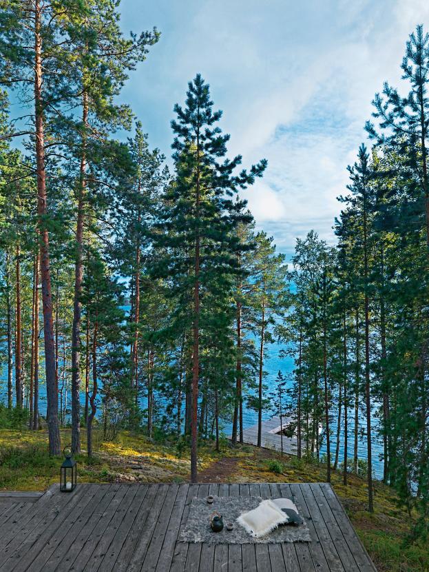 Nad brzegami Päijänne – najdłuższego i najgłębszego fińskiego jeziora.