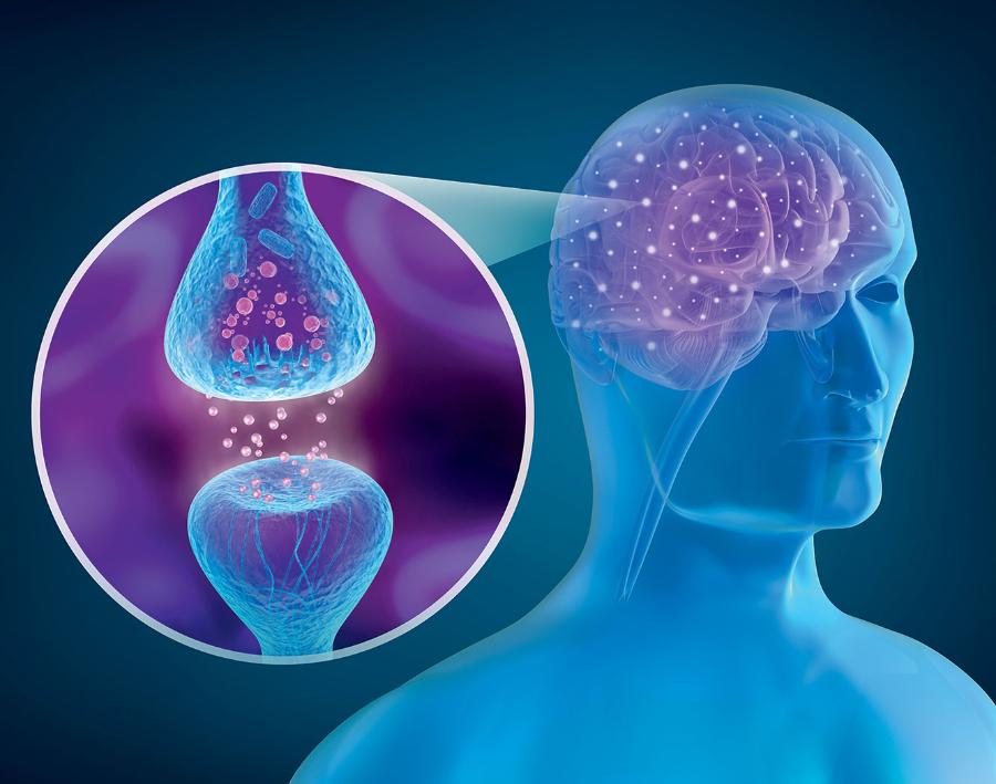 Tajemnica świadomości może tkwić w tym, jak komórki nerwowe rozprowadzają sygnały elektryczne po naszych głowach.