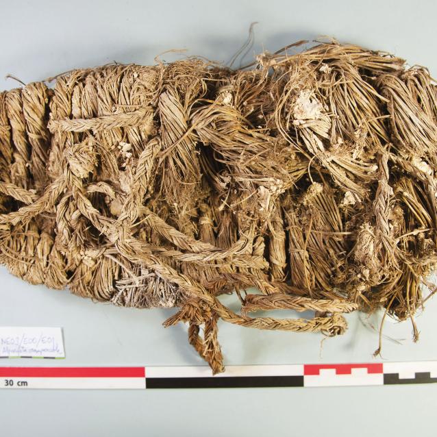 But z trawy sprzed ponad 600 lat.