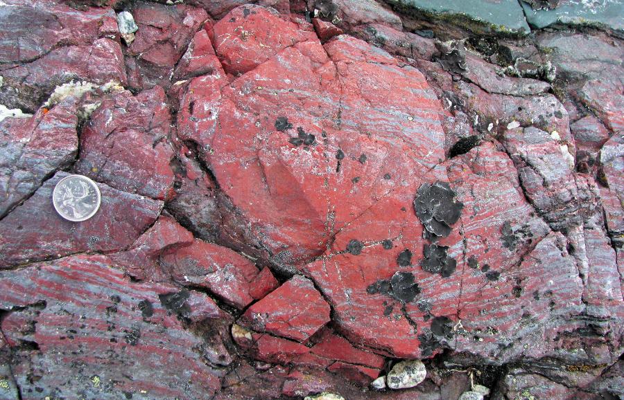 Hematytowe włókna i mikroskopijne rurki – pozostałości bakterii sprzed 3,770 mld lat – wypreparowano z czerwonych konkrecji krzemionkowo-żelazistych (jaspis), występujących masowo w skałach formacji NSB.