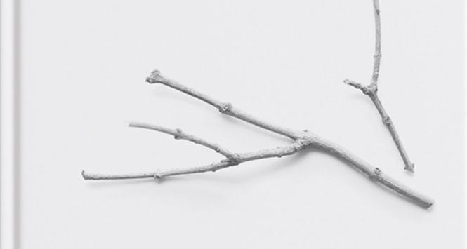 Krystyna Miłobędzka, „więcej nic”.