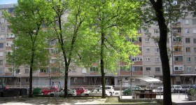 13. Dzikie parkingi