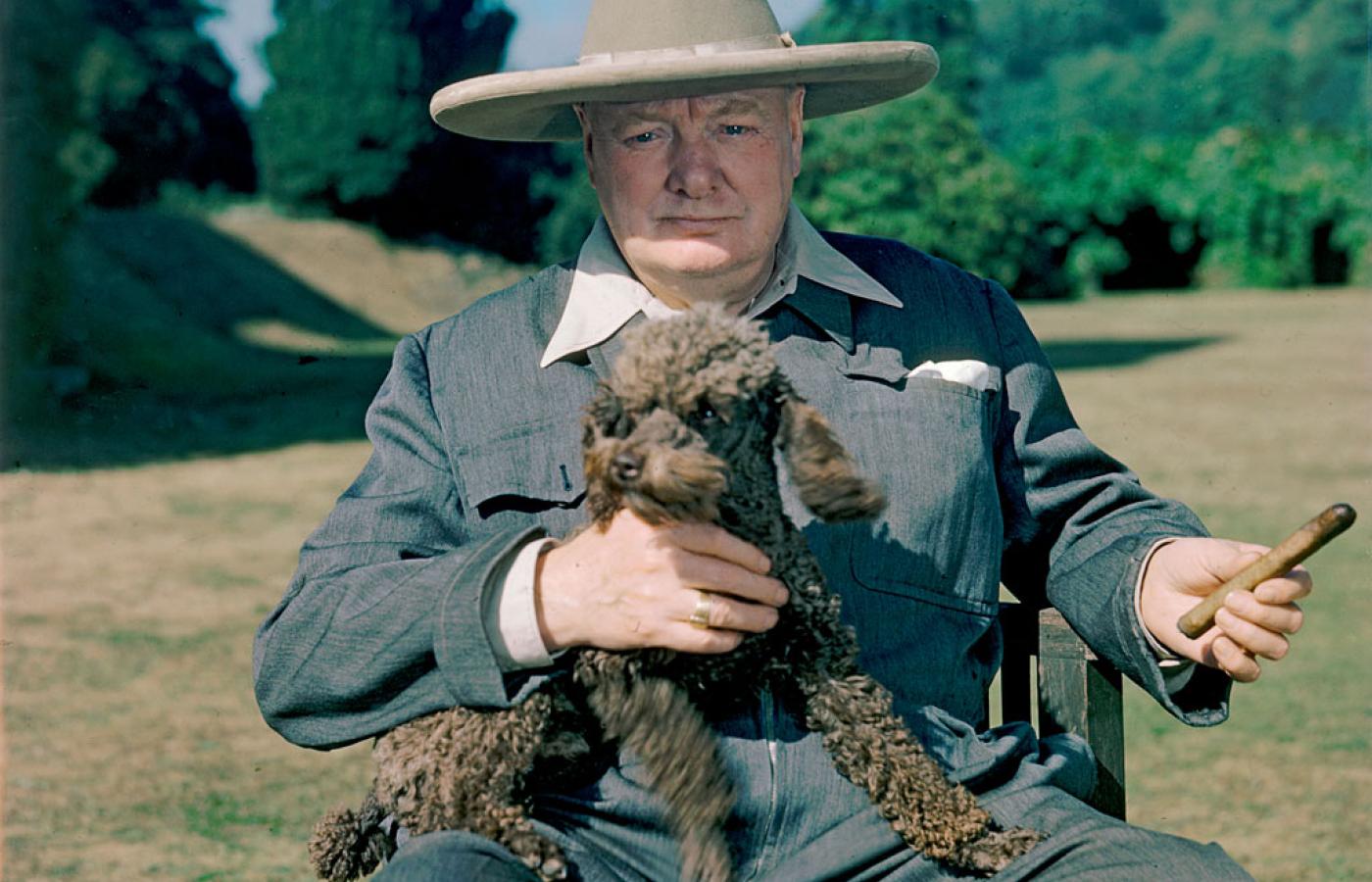 Winston Churchill w ogrodzie swojej posiadłości w Chatwell. Rok 1950.