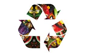 Jednym z ostatnich pomysłów jest koncepcja biorafinerii – przetwarzania odpadków rolniczych i marnowanej żywności w paliwa, energię i wiele przydatnych związków chemicznych.