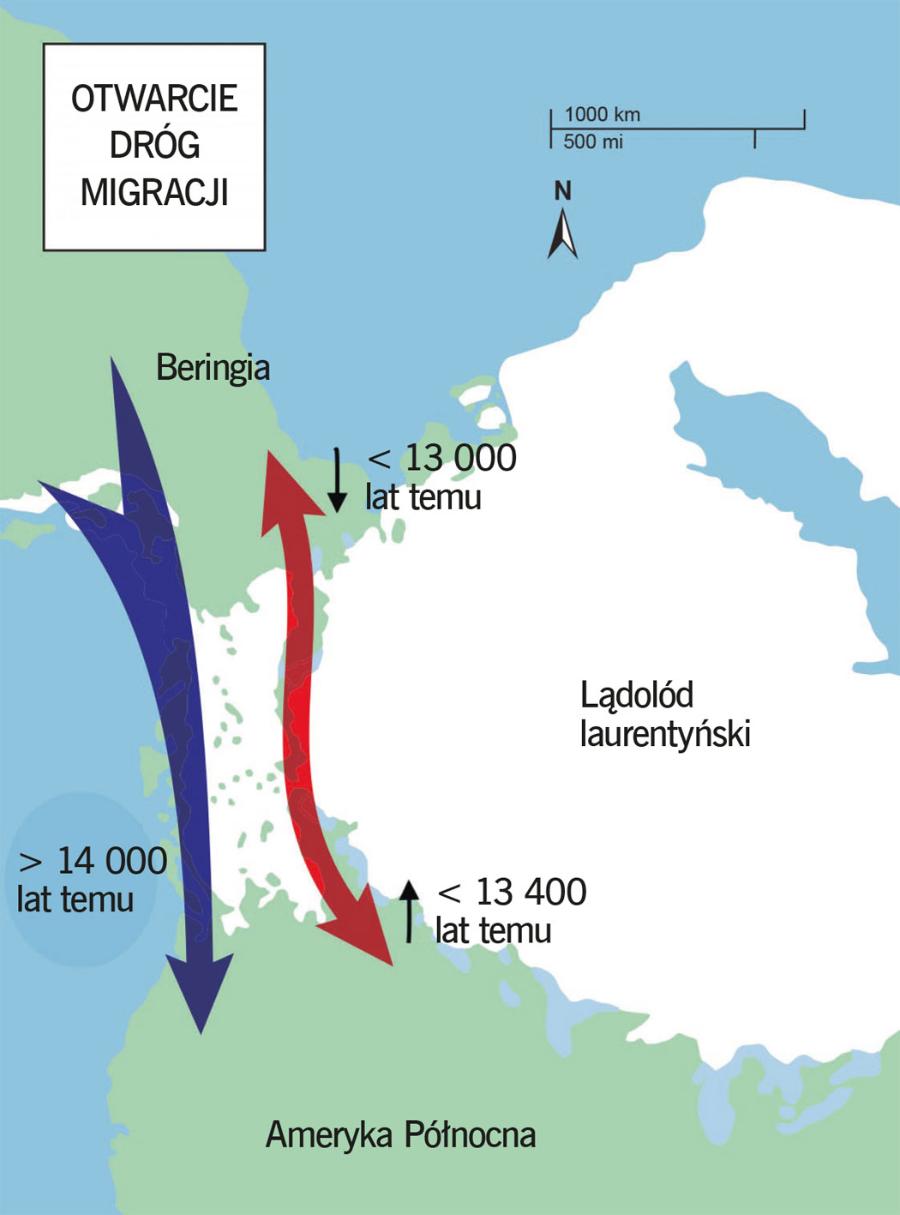 Drogi migracji ludzi z Azji do Ameryki. Szlak nadmorski (niebieska strzałka) mógł być używany już 16–17 tys. lat temu, szlak lądowy (czerwona strzałka) został uwolniony od lodu przed 13–13,5 tys. lat.