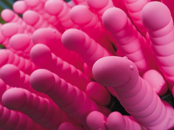 Na targach eroFrame w Hanowerze katalog wibratorów najnowszej generacji liczy 200 stron.