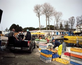 Sezon śledziowy trwał w Dziwnowie niecałe 2 miesiące (marzec, kwiecień). W tym czasie tutejszy port tętnił życiem.