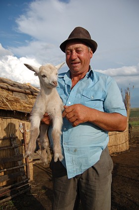 Patron Gheorghe jest dumny  ze swojego stada