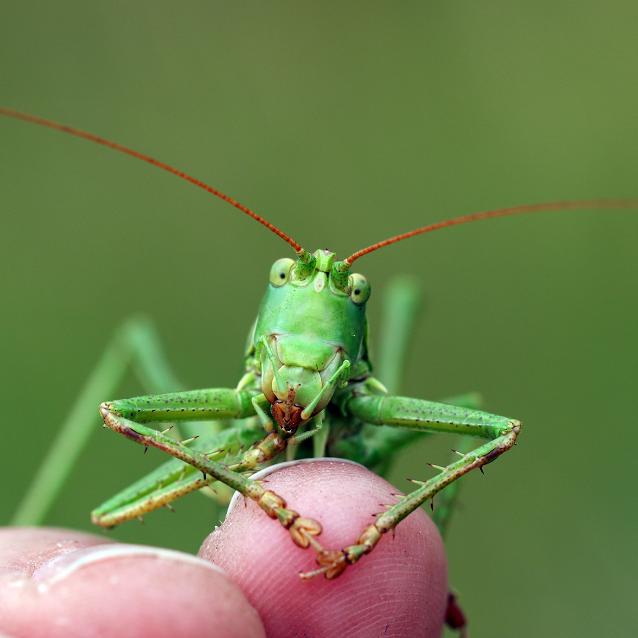 Pulsar - wyjątkowy portal naukowy.