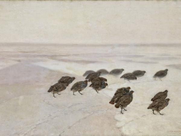 „Kuropatwy na śniegu”, 1891 r.
