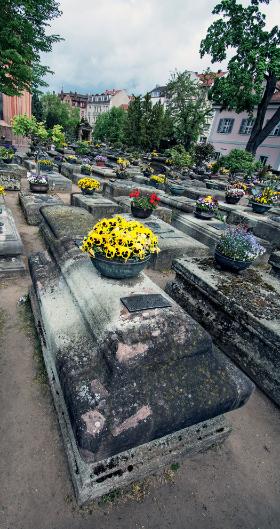 Obce I Nasze Wit Stwosz Mikolaj Kopernik Polityka Pl