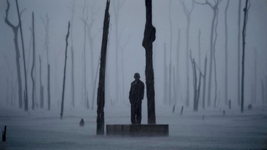 Charly Nijensohn, „Dead Forest Storm”, wideoinstalacja, 2009 r.