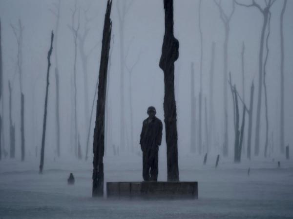 Charly Nijensohn, „Dead Forest Storm”, wideoinstalacja, 2009 r.