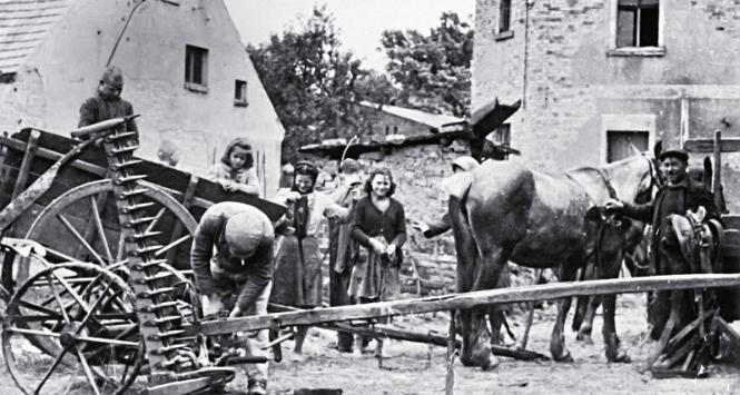 Gospodarstwo repatriantów z Francji w Pyrzycach k. Dębicy, 1948 r.
