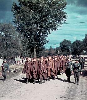 Kolumna polskich jeńców, wrzesień 1939 r.