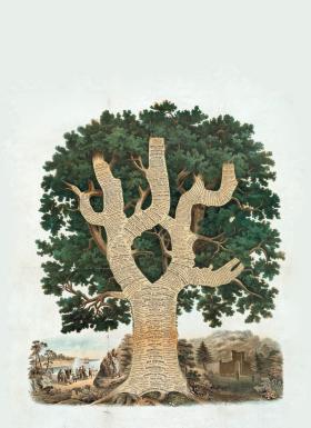 Drzewo amerykańskiej cywilizacji; „Chronological Chart of American History”, 1881 r.