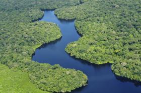Kontakty z tzw. ludami izolowanymi w Amazonii i Nowej Gwinei bywają bardzo niebezpieczne.