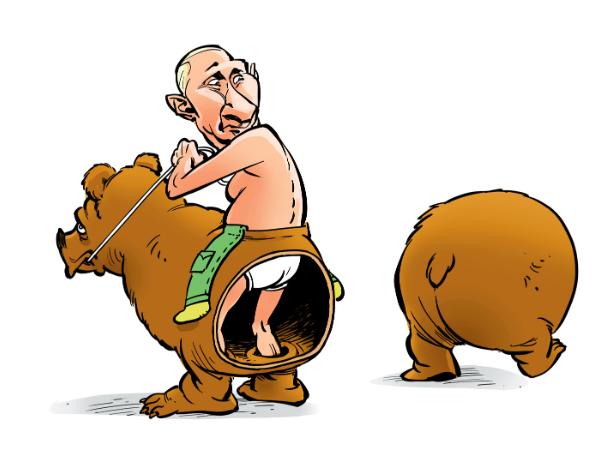 Niedźwiedź i Putin