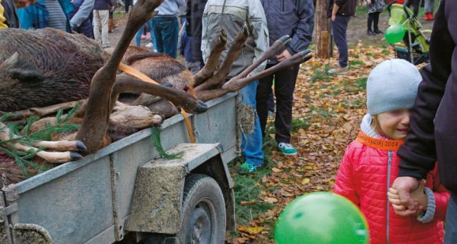 Według sondaży 78 proc. Polaków jest przeciwnych zabieraniu dzieci na polowania.