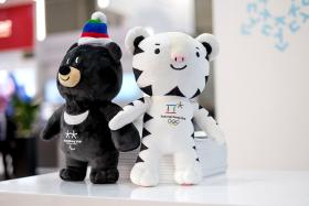 Maskotką igrzysk jest biały tygrys Soohorang, a maskotką paraolimpiady niedźwiedź himalajski Bandabi.