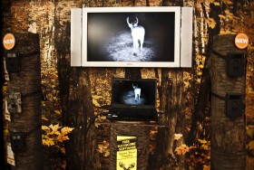 Kamera do obserwacji zwierząt kosztuje ponad 500 dolarów. Mimo to branża bardzo liczy na ten produkt. Ludzie nie mają czasu spędzać w lesie wielu godzin. Kamera załatwia za nich sprawę obserwacji.