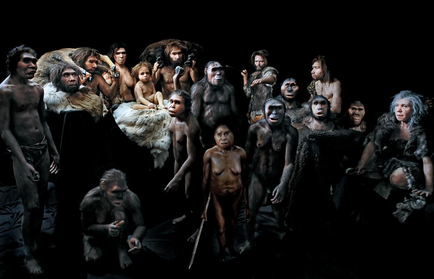 Przodkowie Homo sapiens.