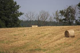 Żeby dostać dopłaty w ogóle nie trzeba być właścicielem gruntu. Takie warunki wynegocjował w Brukseli Jarsoław Kalinowski.