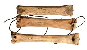 Kościane łyżwy odkryte w Truso z otworami na rzemienie mocujące.