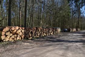 Strażnicy traktują las po gospodarsku. Porównują to, co się dzieje, do bałaganu w ogrodzie, który trzeba posprzątać.
