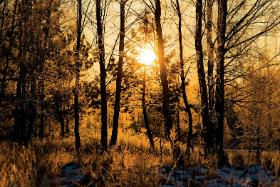 Parki narodowe oprócz tego, że są uznawane za najskuteczniejszą formę ochrony zasobów przyrodniczych, pełnią też niezwykle istotne funkcje społeczne, ekonomiczne i kulturowe.