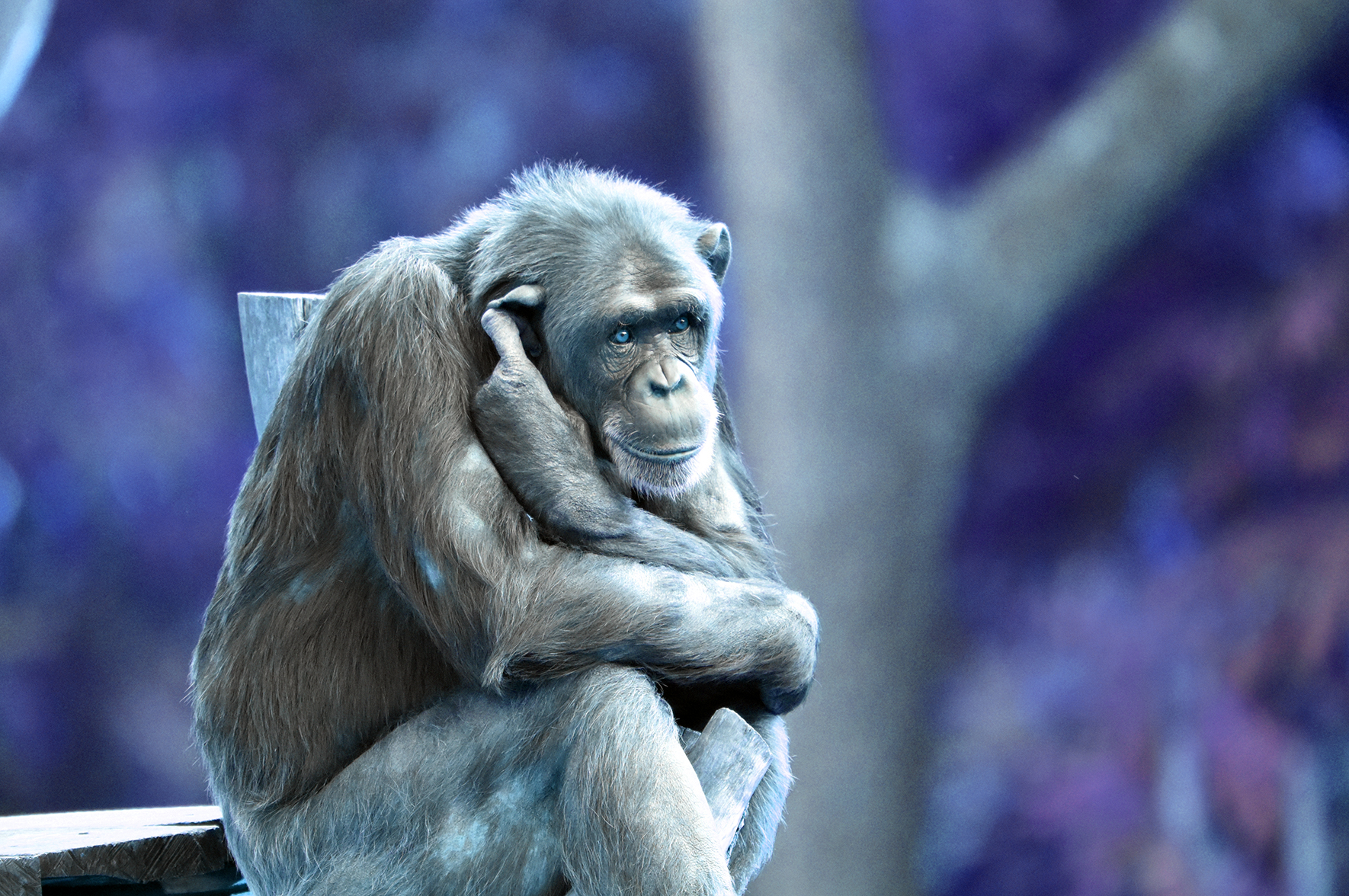 Najważniejsze w 2025 roku według Marcina Rotkiewicza