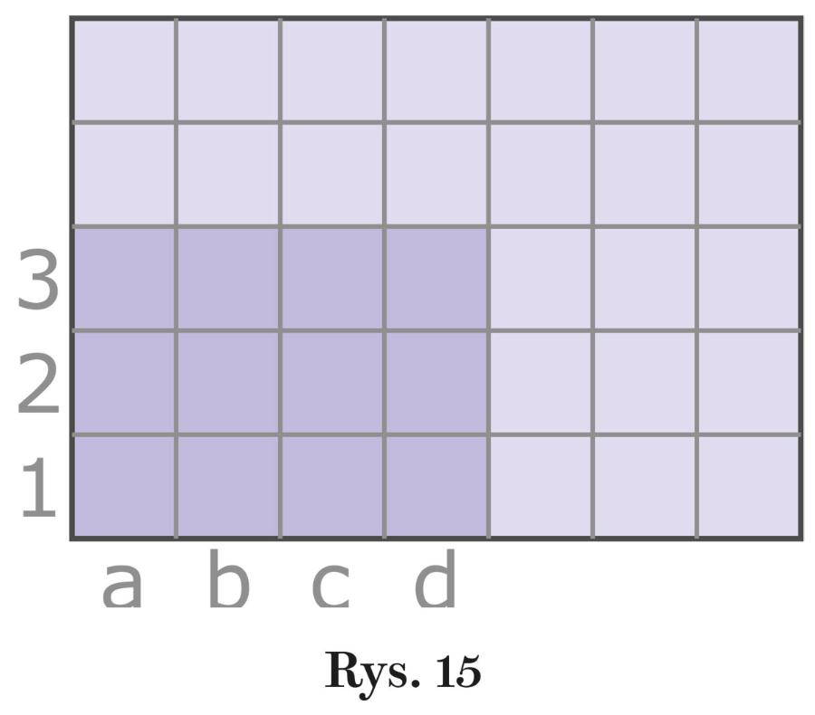 Rys. 15