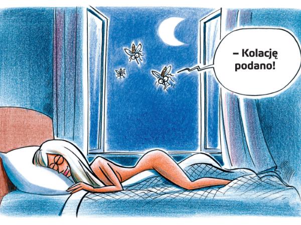 Kolację podano