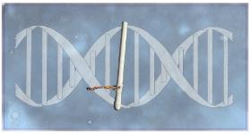 Po latach wyszło na jaw, że Tomasz Komenda był bity i zmuszany do zeznań.